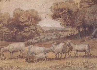 Claude Lorrain Landscape with Sheep (mk17) china oil painting image